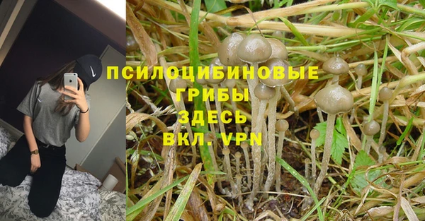 прущая мука Армянск