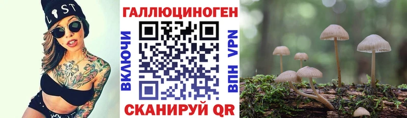 Галлюциногенные грибы Cubensis  маркетплейс наркотические препараты  Пущино 